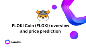 Floki coin
