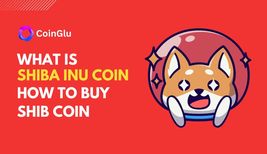 What is Shiba Inu Coin And How to Buy Shib ?